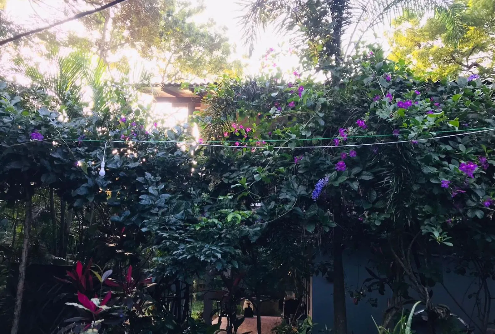 Sh Li Hostel Sigiriya Sri Lanka