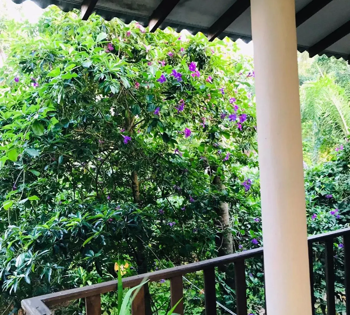 Sh Li Hostel Sigiriya 0*,  Sri Lanka