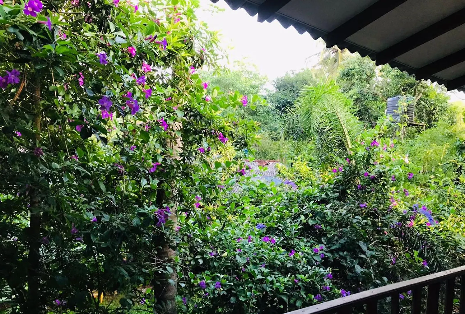 Sh Li Hostel Sigiriya