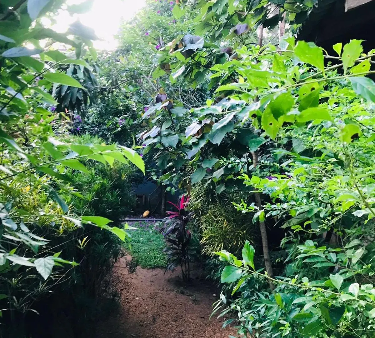 Sh Li Hostel Sigiriya