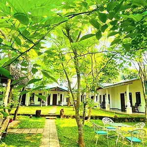 Hotel Kingfisher, Sigiriya