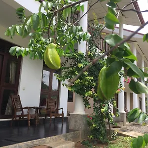 Guest house Goddess Garden, Sigiriya
