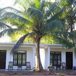  Bed & Breakfast Shady Mango