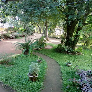 Homestay Sigiri Neo, Sigiriya